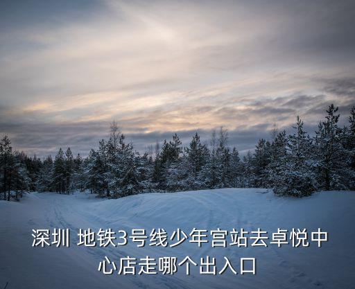  深圳 地铁3号线少年宫站去卓悦中心店走哪个出入口