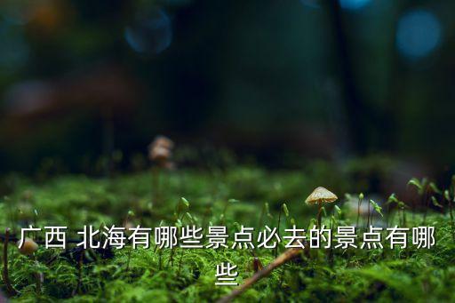 北海老街到国际客运站