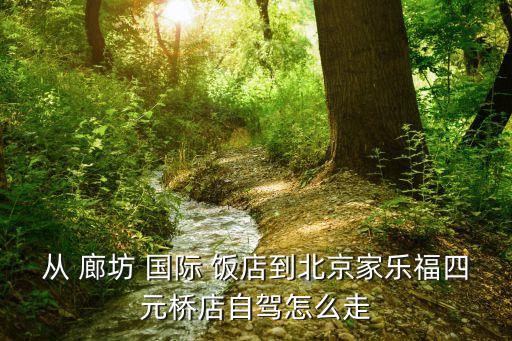 从 廊坊 国际 饭店到北京家乐福四元桥店自驾怎么走