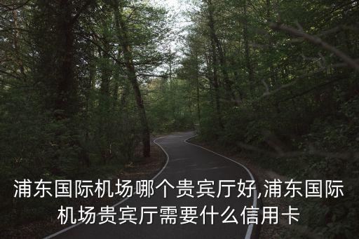 上海浦东国际机场哪个贵宾厅好,浦东国际机场贵宾厅需要什么信用卡