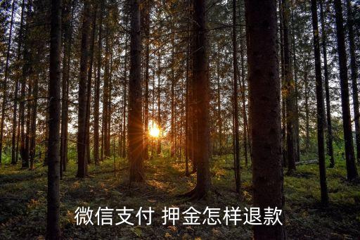 微信支付 押金怎样退款