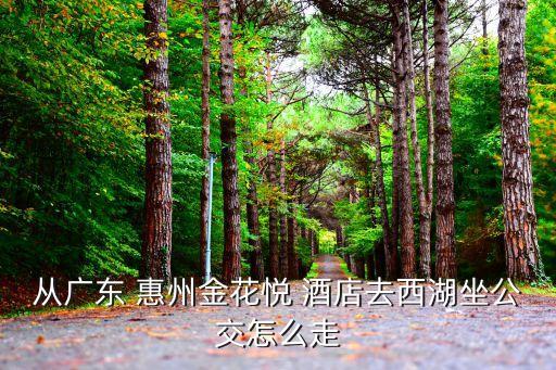 惠州金华悦国际酒店离高铁站多远