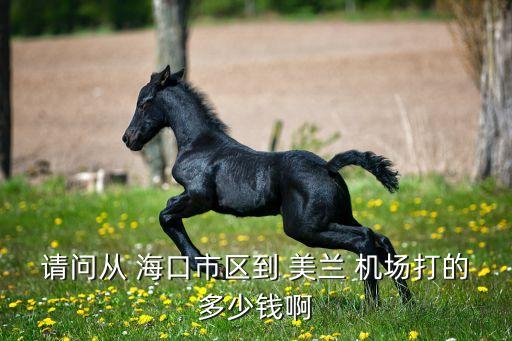 请问从 海口市区到 美兰 机场打的多少钱啊