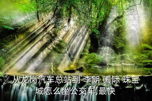 从龙岗汽车总站到 李朗 国际 珠宝城怎么坐公交车,最快