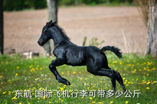 中国东方航空.国际