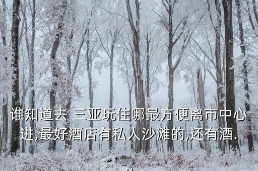 谁知道去 三亚玩住哪最方便离市中心进,最好酒店有私人沙滩的,还有酒...