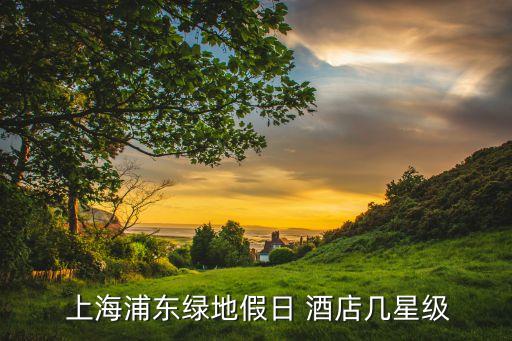 上海新国际会展中心酒店,上海国际会展中心洲际酒店是几星级