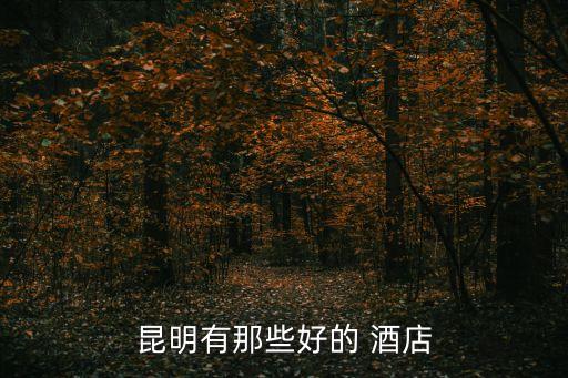 昆明市泰丽国际酒店 星级,泰丽云顶酒店是几星级