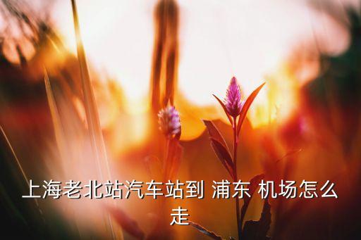 上海老北站汽车站到 浦东 机场怎么走