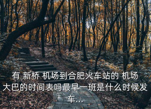 有 新桥 机场到合肥火车站的 机场大巴的时间表吗最早一班是什么时候发车...