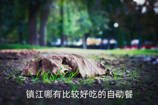  镇江哪有比较好吃的自助餐