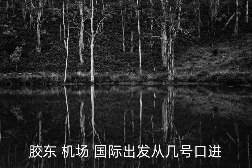 胶东 机场 国际出发从几号口进