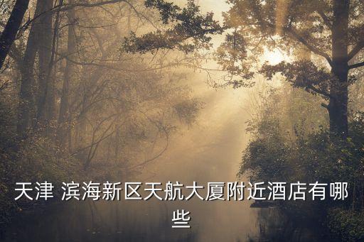 天津 滨海新区天航大厦附近酒店有哪些