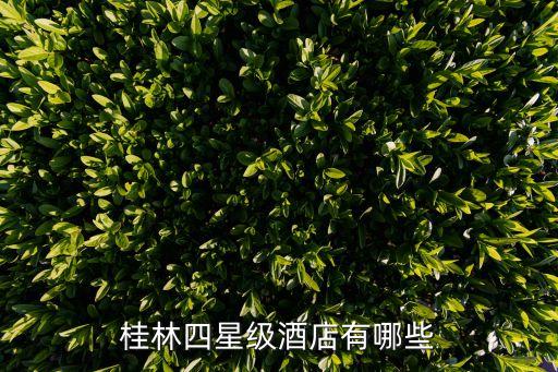 桂林四星级酒店有哪些