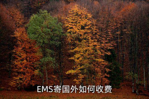 EMS寄国外如何收费
