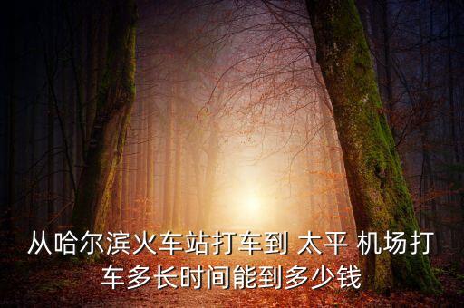 从哈尔滨火车站打车到 太平 机场打车多长时间能到多少钱