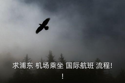 求浦东 机场乘坐 国际航班 流程!!
