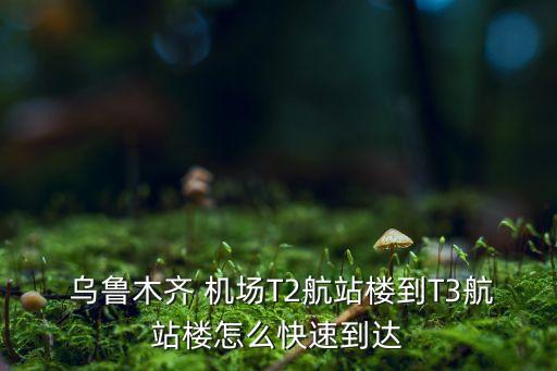  乌鲁木齐 机场T2航站楼到T3航站楼怎么快速到达