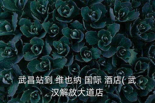 武昌站到 维也纳 国际 酒店( 武汉解放大道店