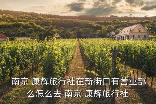 中国康辉南京国际,康辉南京国际旅行社燕山路分部是干什么的?