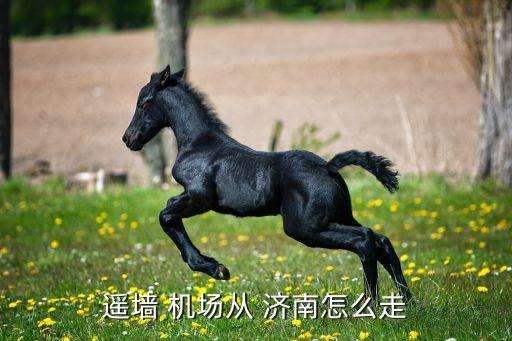 济南国际机场路线