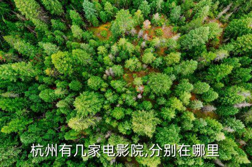 杭州有几家电影院,分别在哪里
