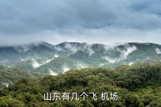青岛流亭国际机场 桃园