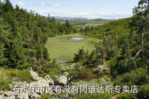  石家庄市区有没有阿迪达斯专卖店
