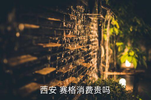 西安 赛格消费贵吗