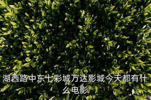 湖西路中东七彩城万达影城今天都有什么电影