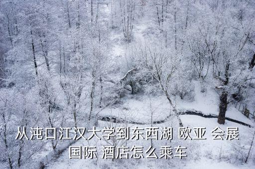 从沌口江汉大学到东西湖 欧亚 会展国际 酒店怎么乘车