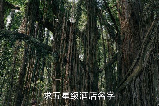 桂林会展国际大饭店,世纪金源会展大饭店