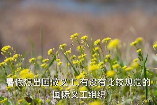 暑假想出国做义工,有没有比较规范的 国际义工组织