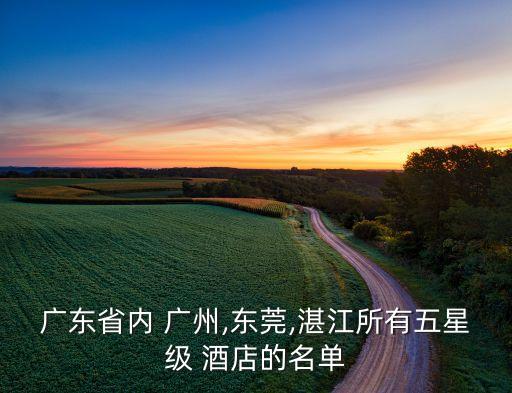 广东省内 广州,东莞,湛江所有五星级 酒店的名单