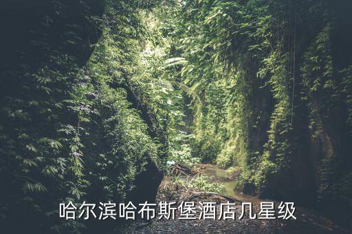  哈尔滨哈布斯堡酒店几星级