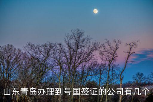 山东青岛办理到号国签证的公司有几个