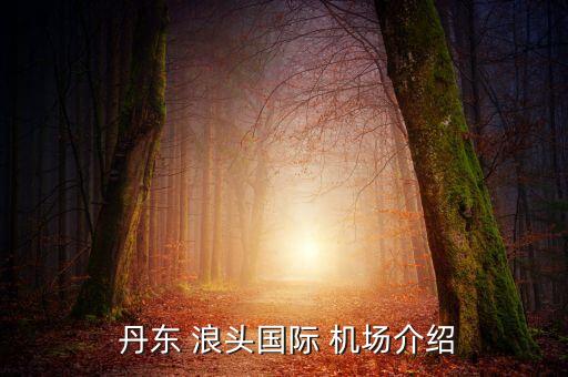  丹东 浪头国际 机场介绍
