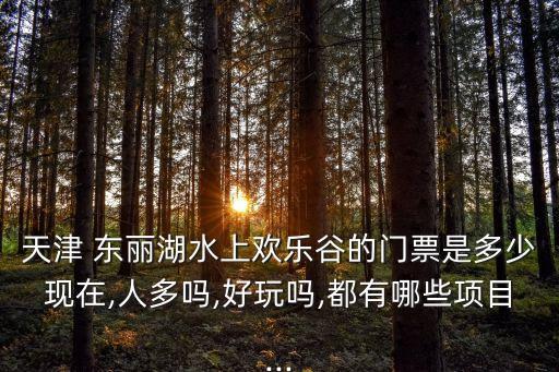 天津 东丽湖水上欢乐谷的门票是多少现在,人多吗,好玩吗,都有哪些项目...