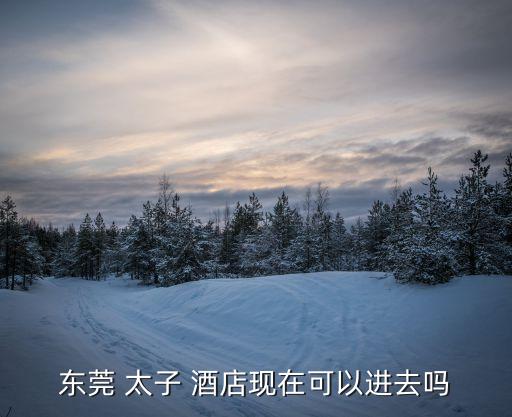 太子国际旅行酒店,东莞的太子国际酒店蒋艳
