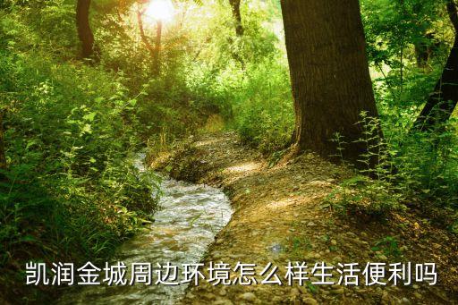  凯润金城周边环境怎么样生活便利吗
