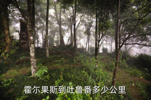霍尓果斯到吐鲁番多少公里