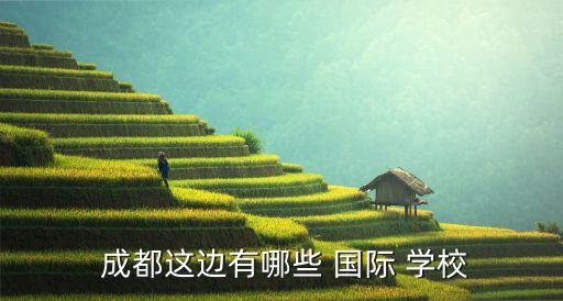  成都这边有哪些 国际 学校