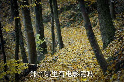 郑州哪里有电影院吗
