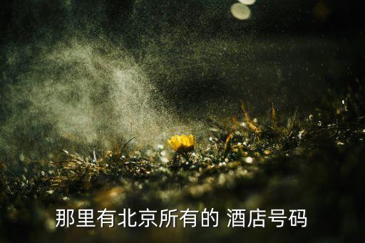 那里有北京所有的 酒店号码
