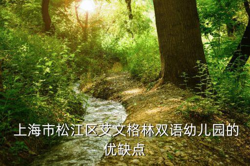  上海市松江区艾文格林双语幼儿园的优缺点