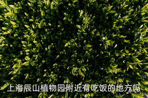 上海大众国际会议中心酒店怎么样,厦门国际会议中心酒店自助餐怎么样