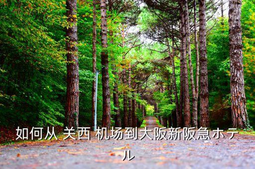 如何从 关西 机场到大阪新阪急ホテル
