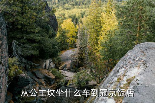 七里庄到北京国际机场