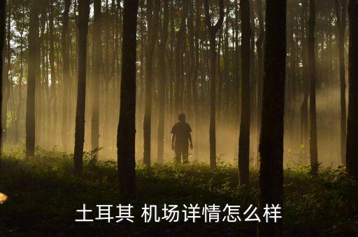 土耳其 机场详情怎么样