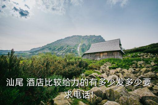 汕尾 酒店比较给力的有多少发多少要求电话!